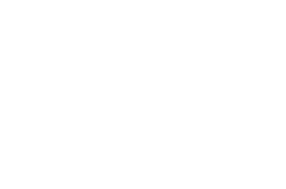 Laurel for Official Selection: Buenos Aires Modern Black and White Film Festival 2025