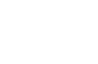 Laurel for Official Selection: Cannes Film Awards 2025